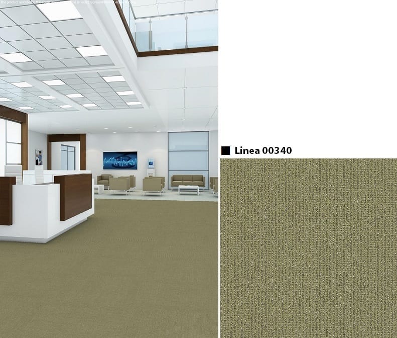 Linea 00340