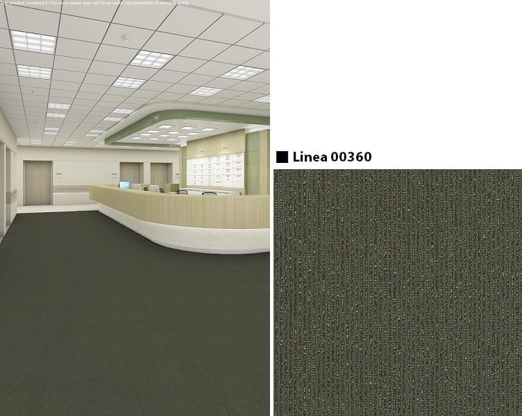 Linea 00360